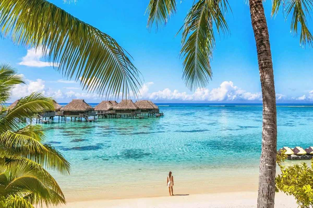 fransk polynesien se smukke — Luxury Tahiti beach resort travel tourist walking on Polynesian beach ocean water at overwater bungalow hotel in French Polynesia