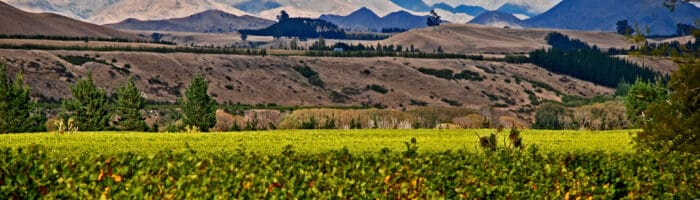 New Zealand, Malrborough wine district, Awatere_Valley