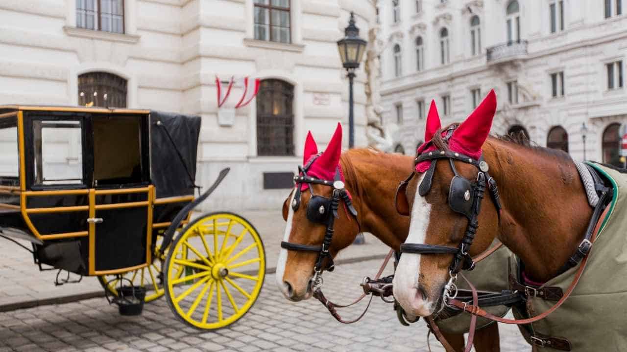 Hofburg Palads: Tidligere residens for Habsburgerne og hjemsted for Sisi-museet.