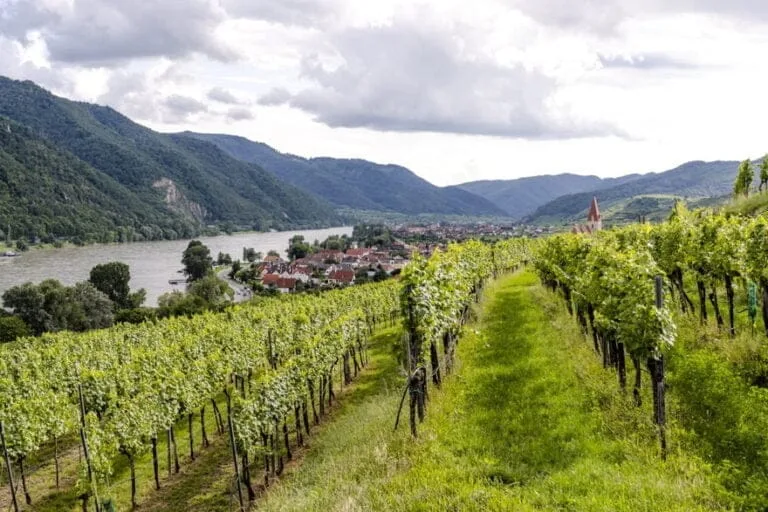 Wachau, Donau og vindyrkning, Østrig