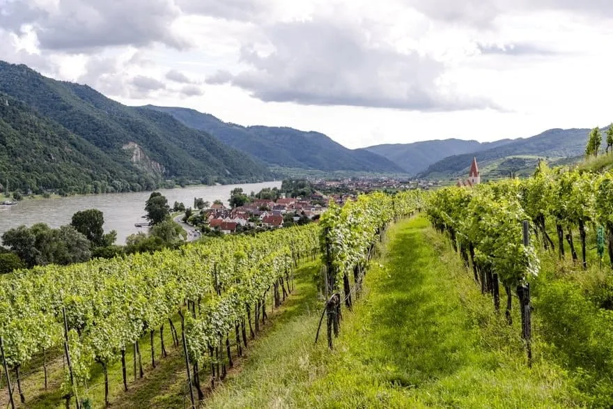 Wachau, Donau og vindyrkning, Østrig