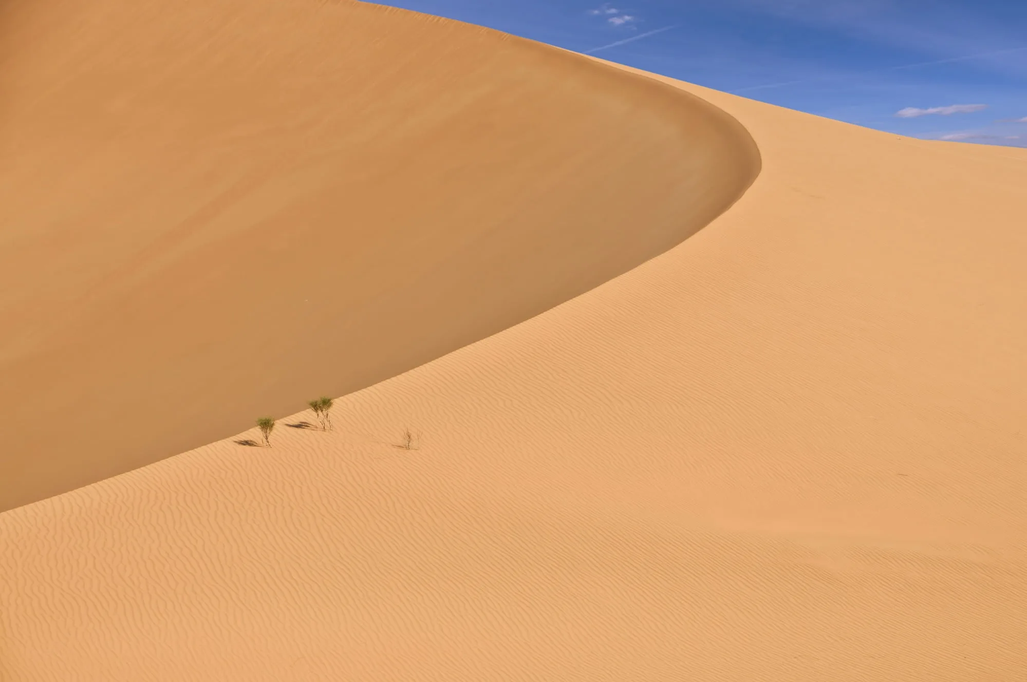 A dune in the Rub Al Khali Desert