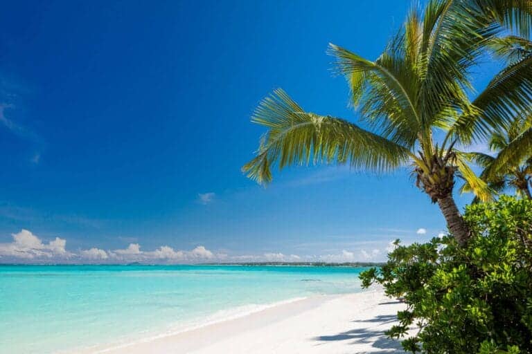 BECH Travel