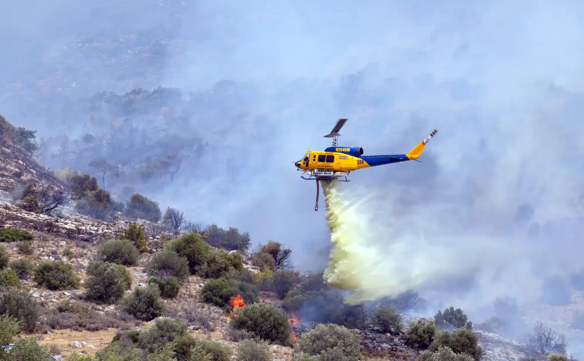 Skovbrand forsøges slukket. Athen, Grækenland, 4 juni 2022.