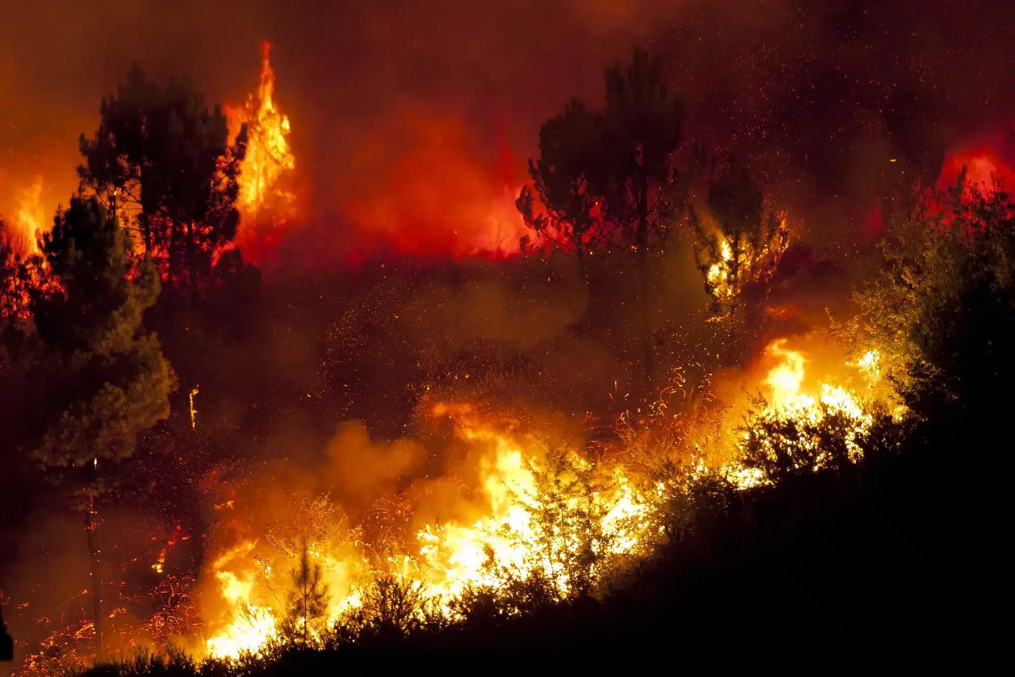 Skovbrand meget tæt på huse, Povoa de Lanhoso, Portugal