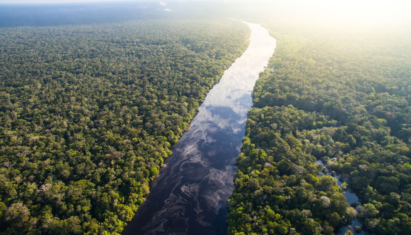 Jungleferier - Amazonas regnskov, Sydamerika