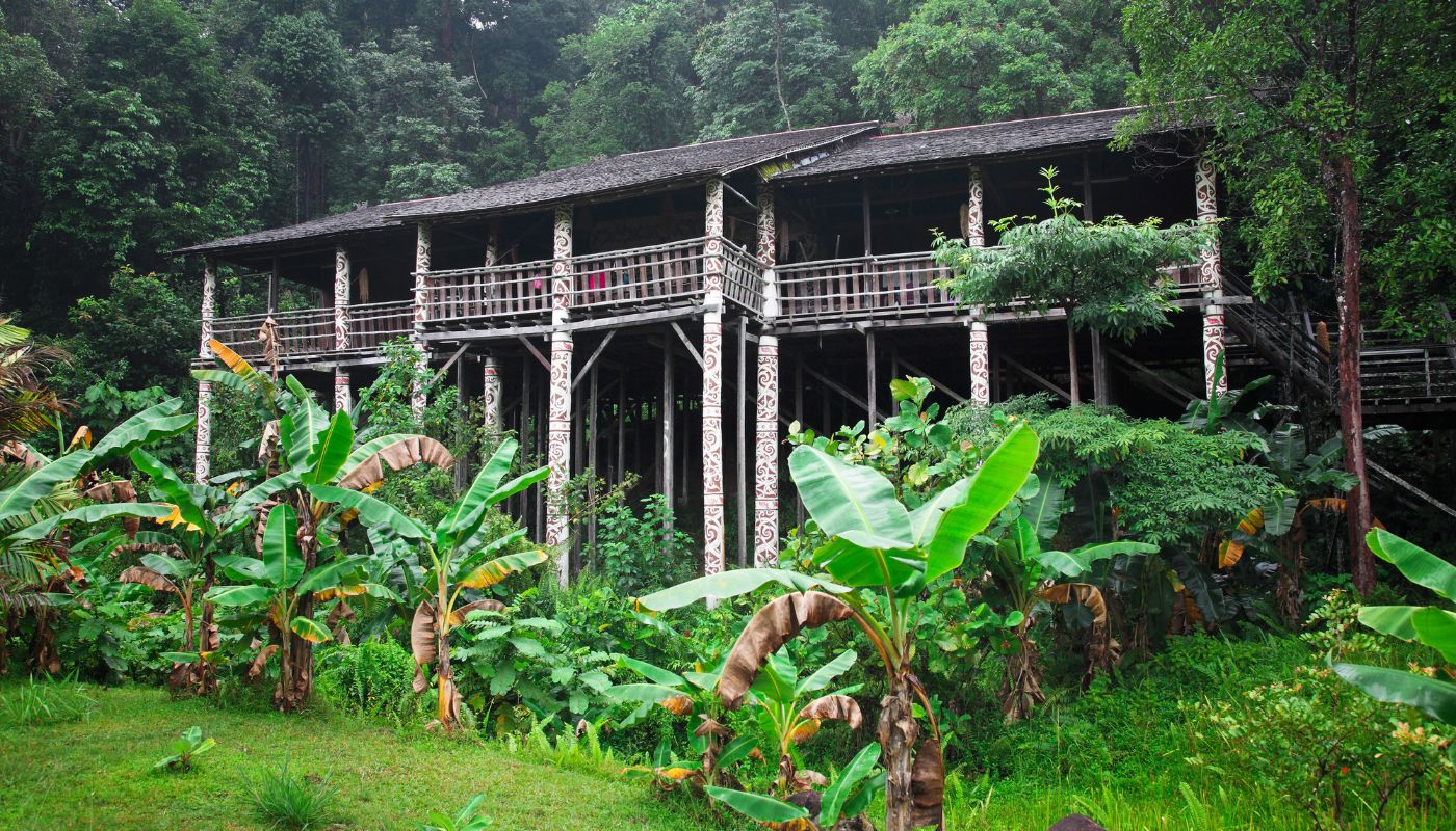 Jungleferier - Borneo regnskov, Malaysia og Indonesien