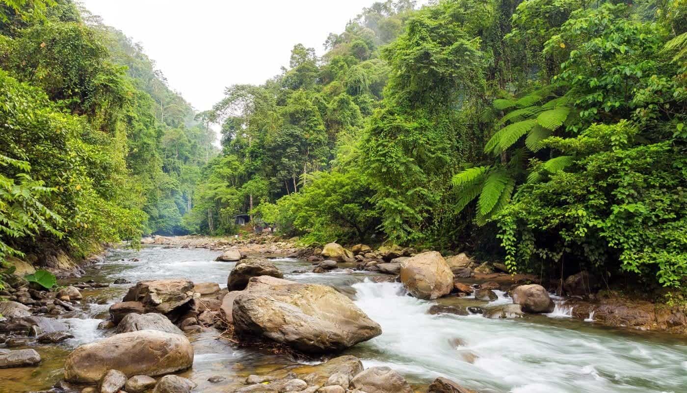 Bukit Lawang