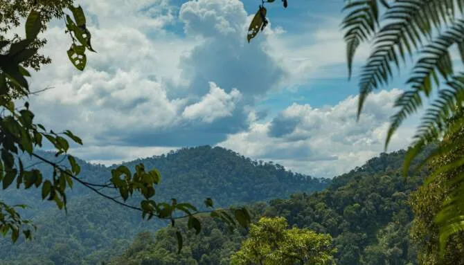 Gunung Leuser National Park