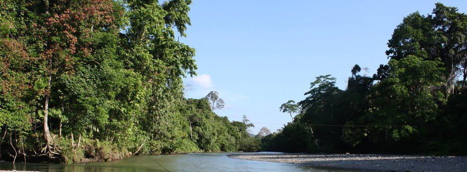 Gunung Leuser UNESCO