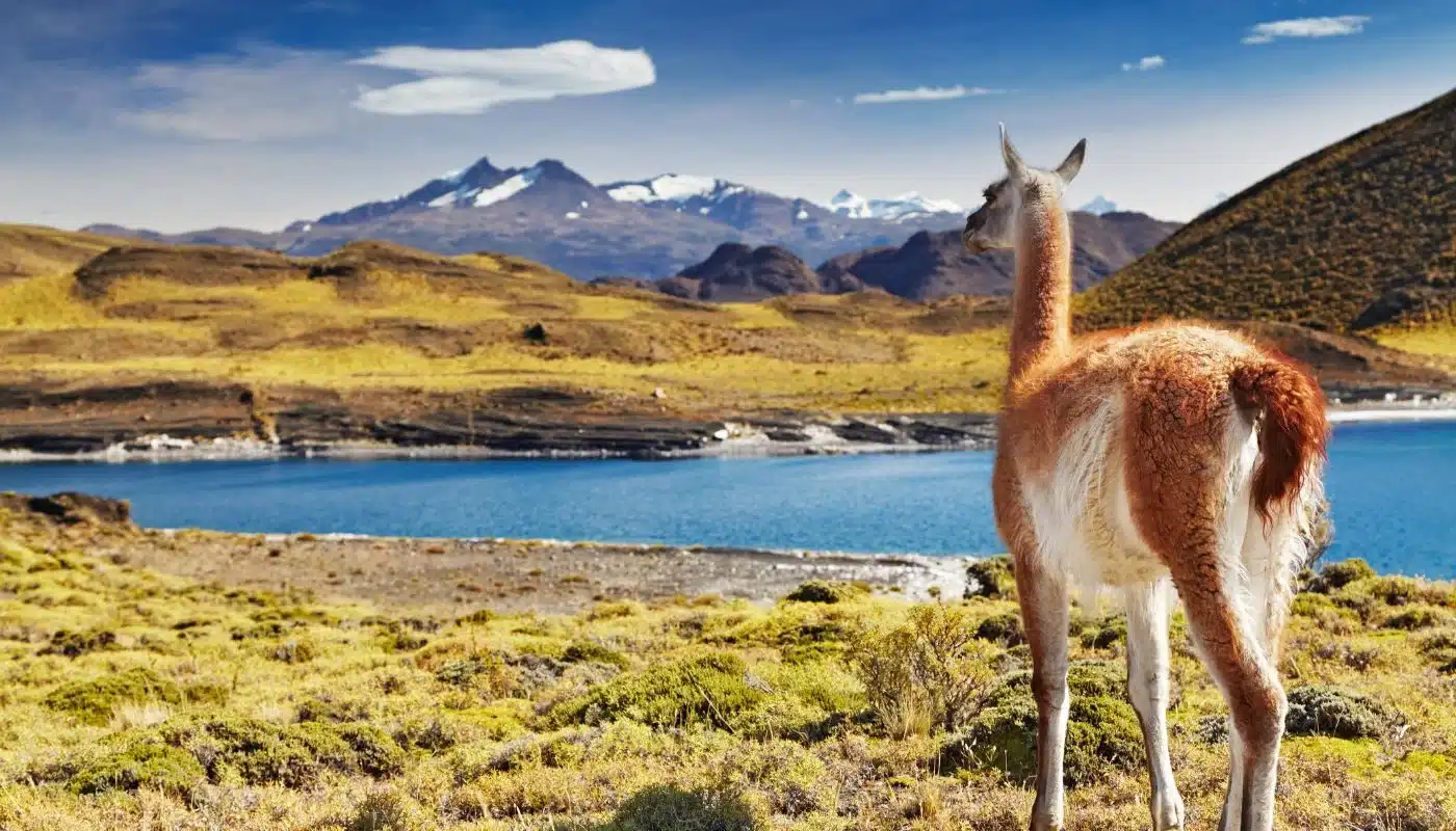 Patagonias naturparker