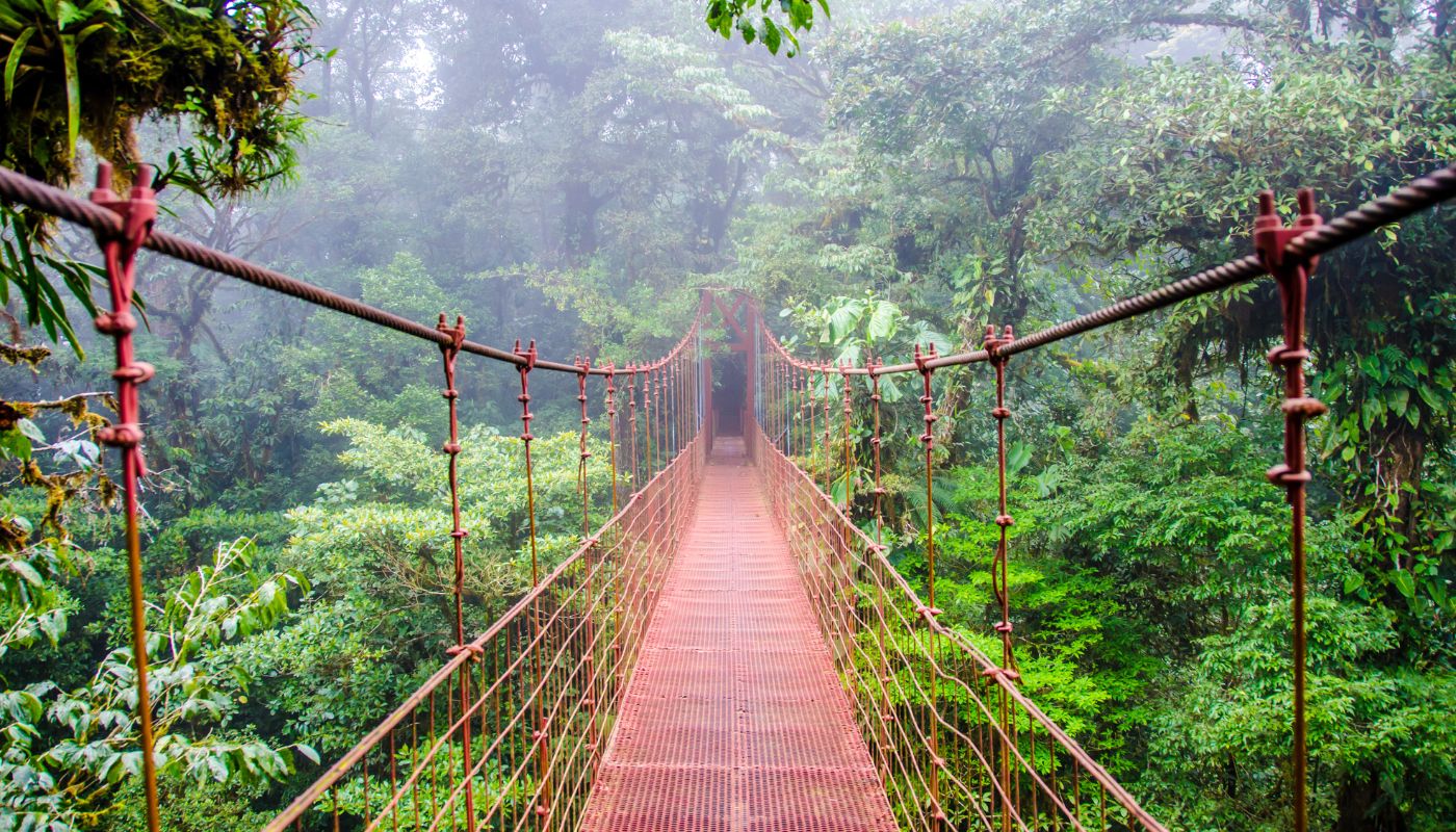 Monteverde regnskov i Costa Rica
