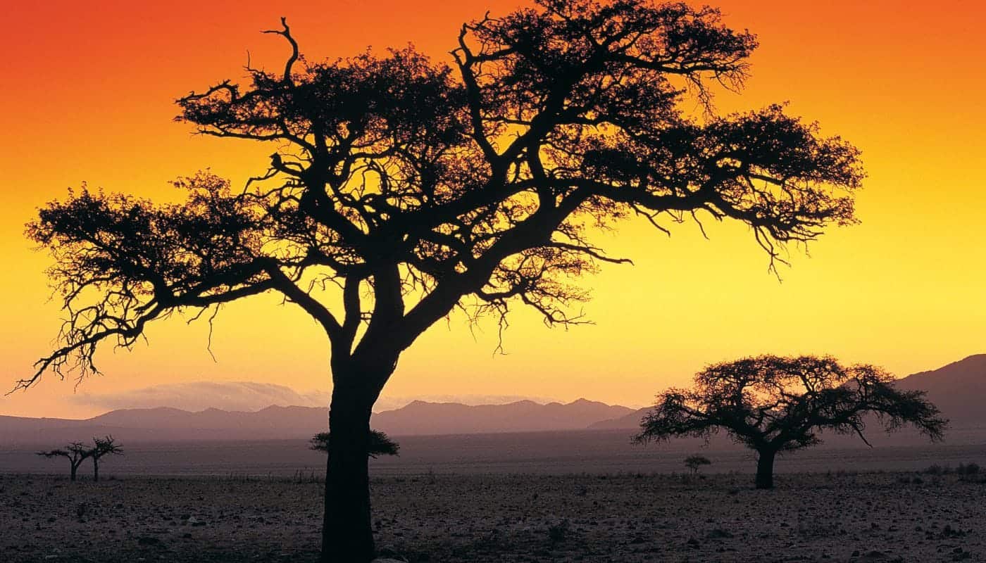 Hvorfor rejse til Namibia?