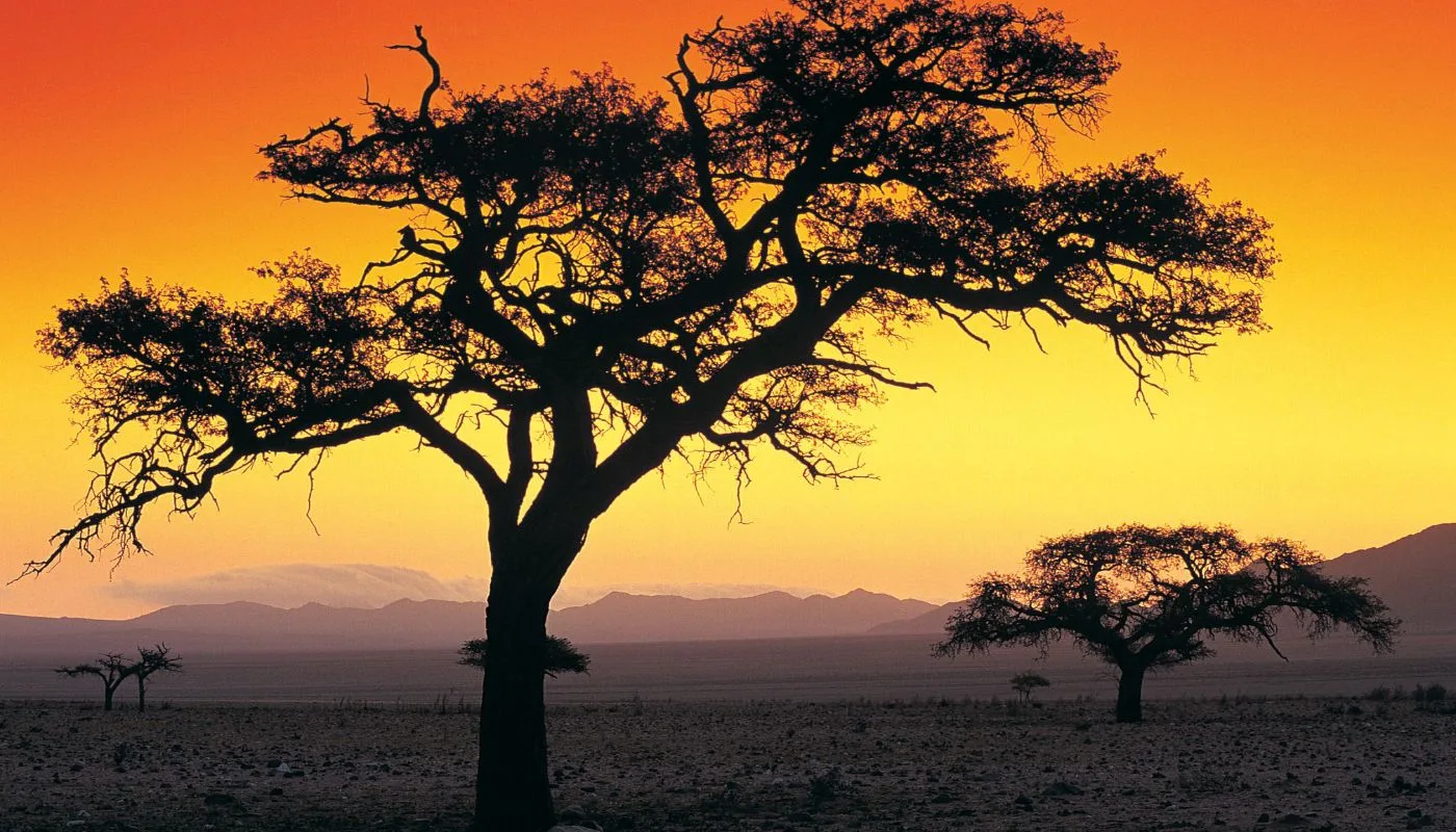 Hvorfor rejse til Namibia?