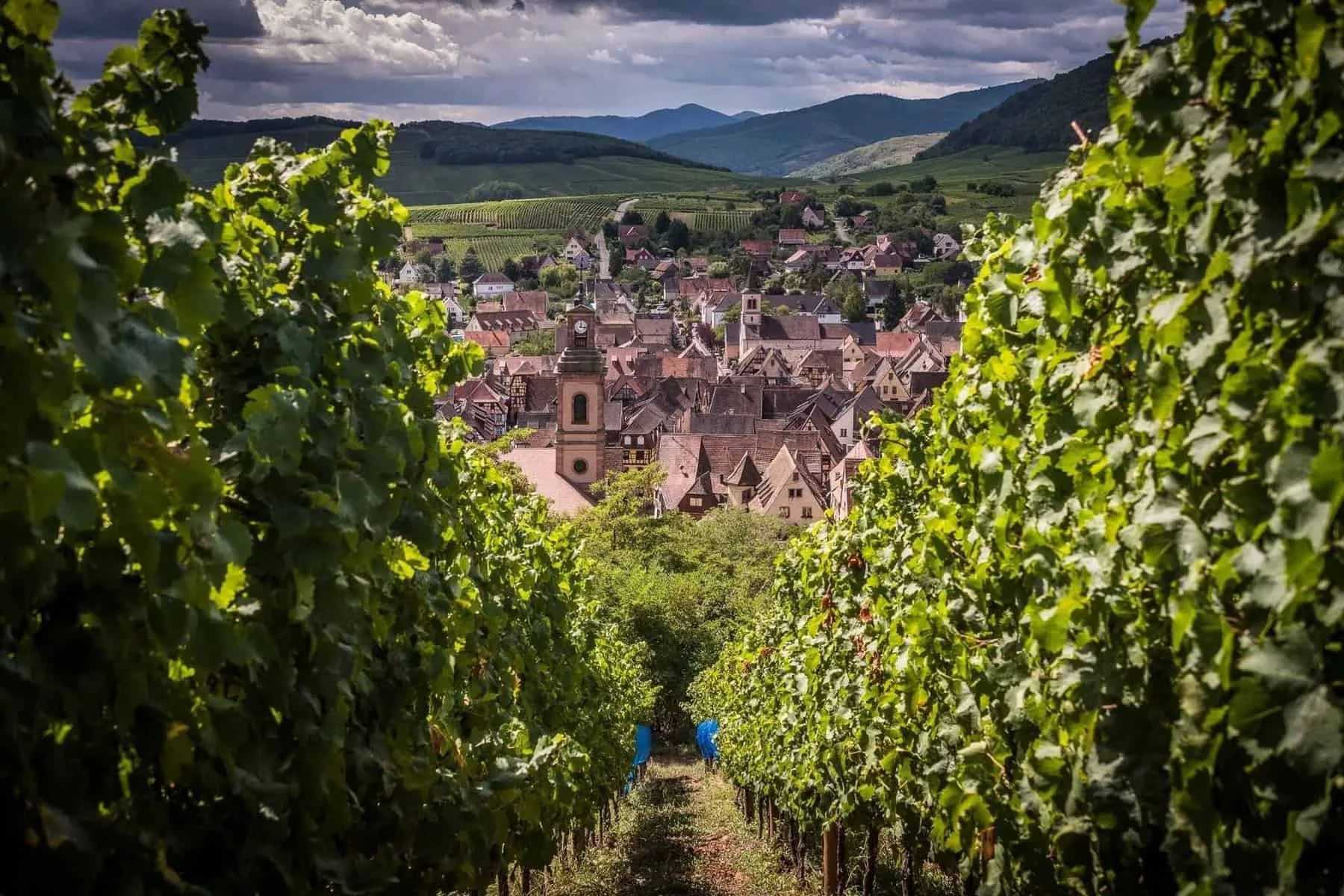 Riquewihr i skønne Alsace, Frankrig