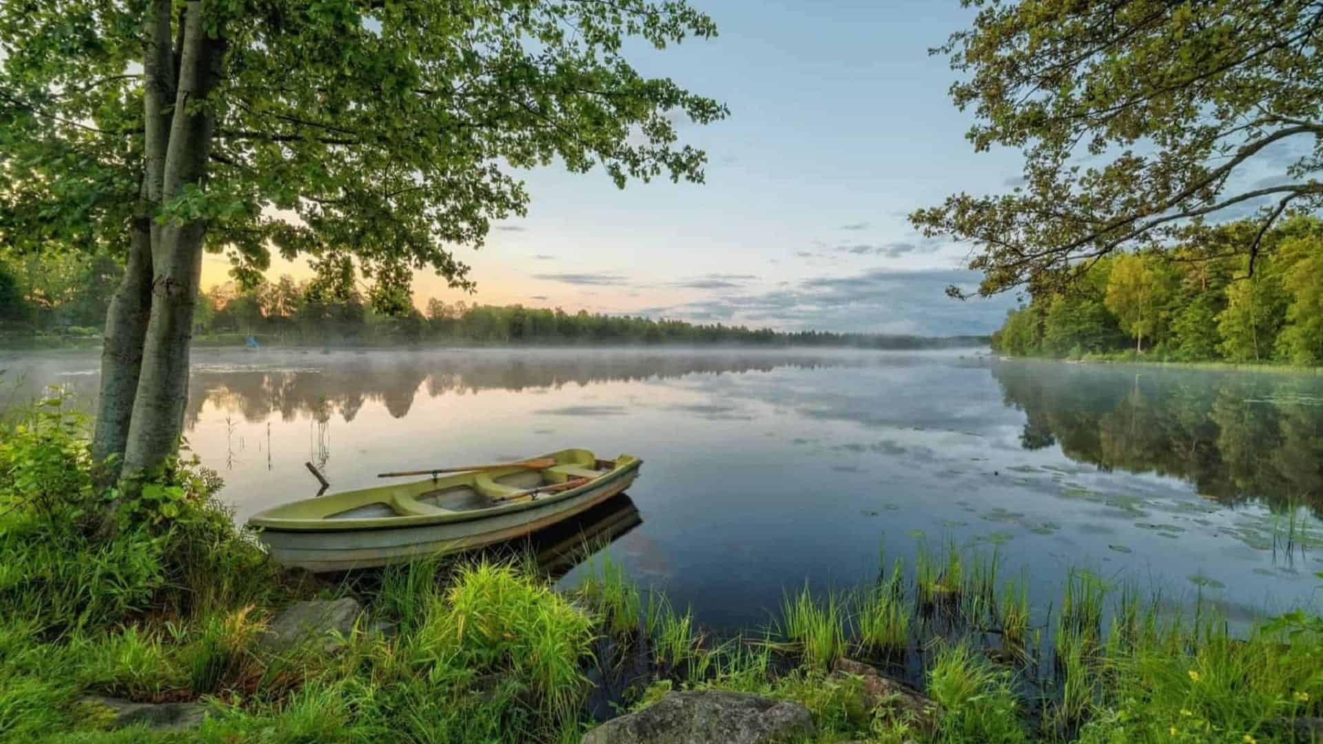 Rejseinteresser 258 Sverige