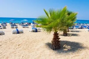 Hvor lang tid tager det at flyve til Alanya?
