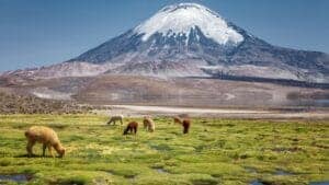 Chile