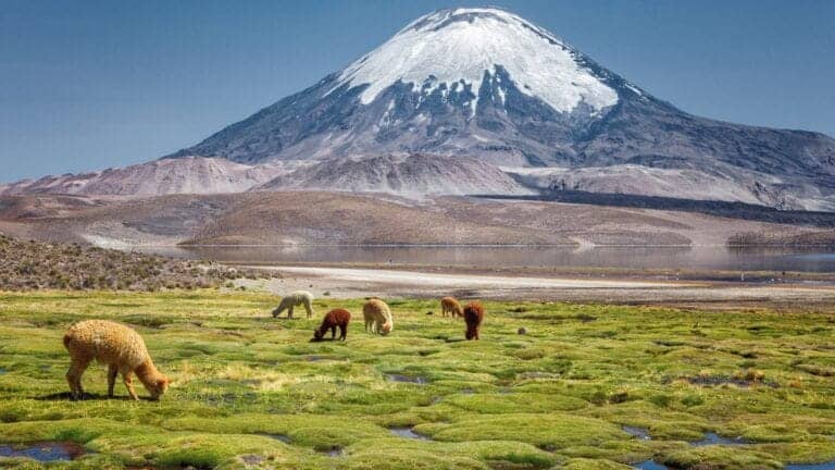 Chile