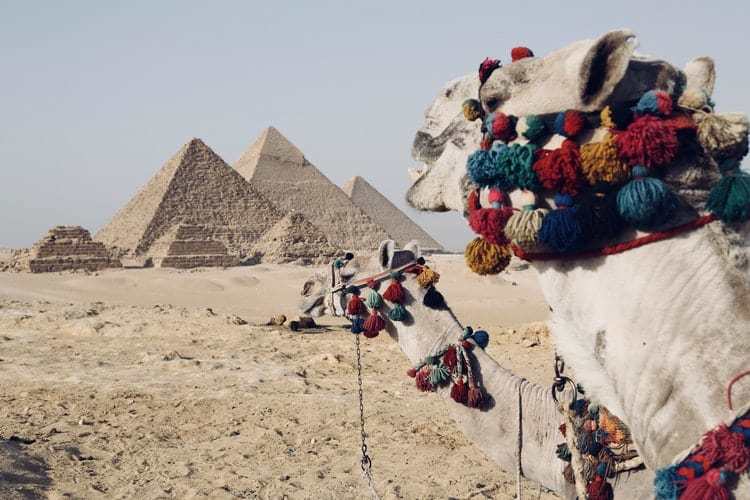 Krydstogt på Nilen fra Luxor til Aswan t/r