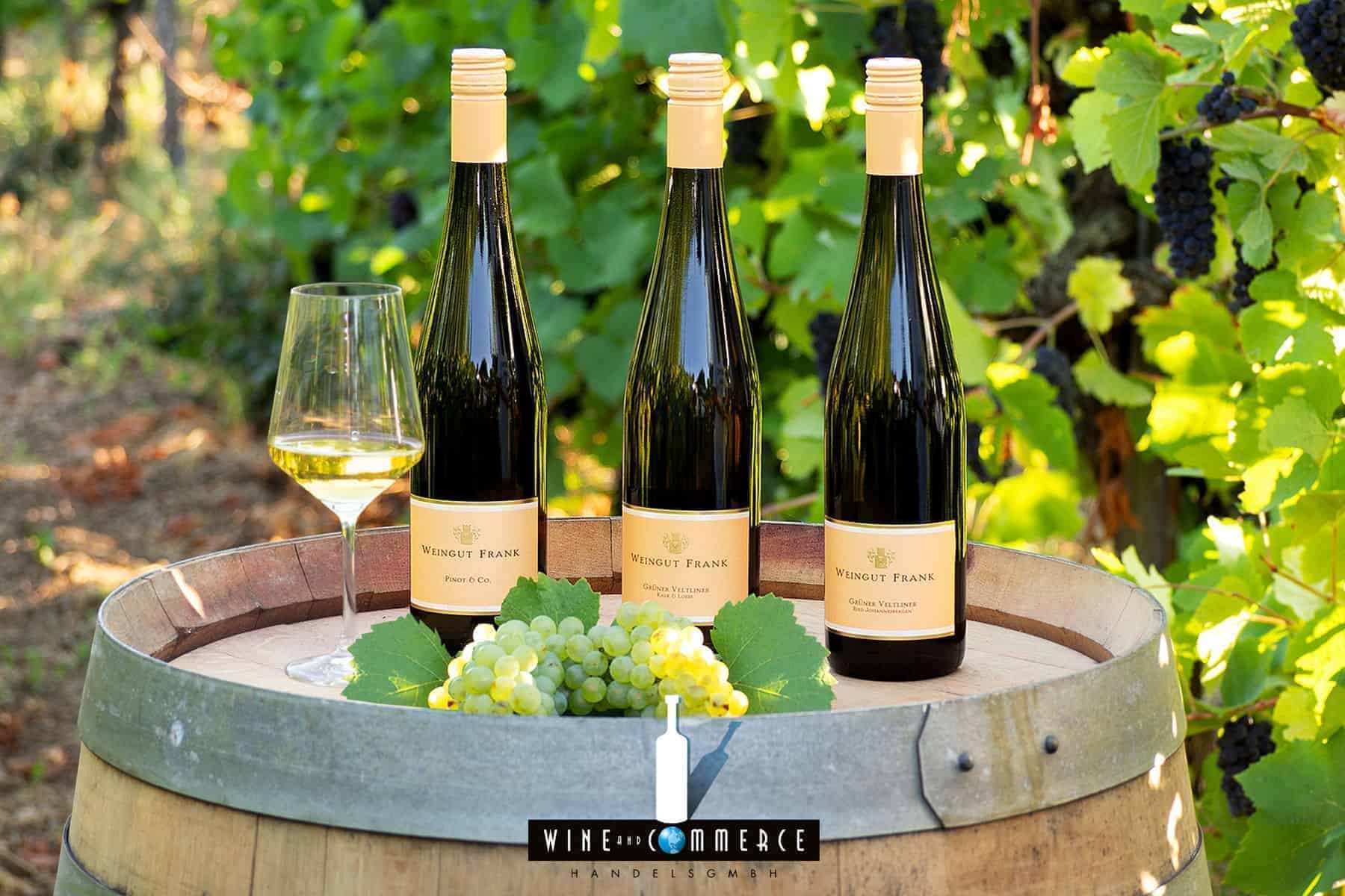 Østrigske vine og en vinrute, du næppe har hørt om