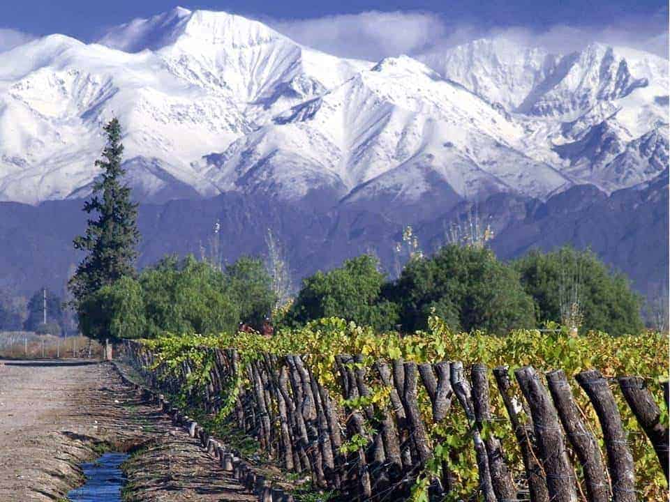 Maipo Valley vingård, Chile