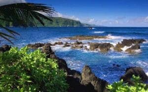 Menjangan hjorten, Bali