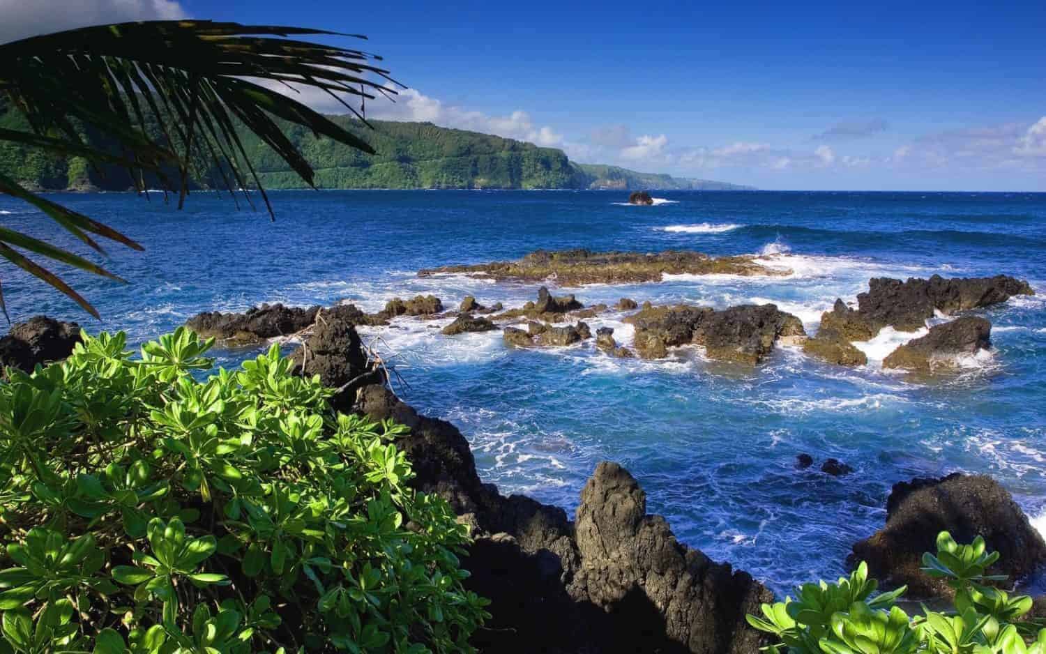 Menjangan Island ved Bali´s vestkyst. Det er hjortenes ø og National Park