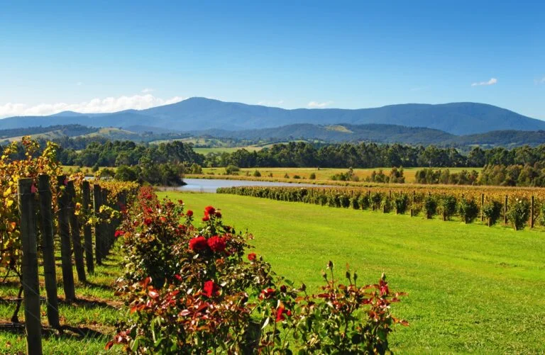 Australske vinrejser og eventyr 9 Australske vinrejser og eventyr