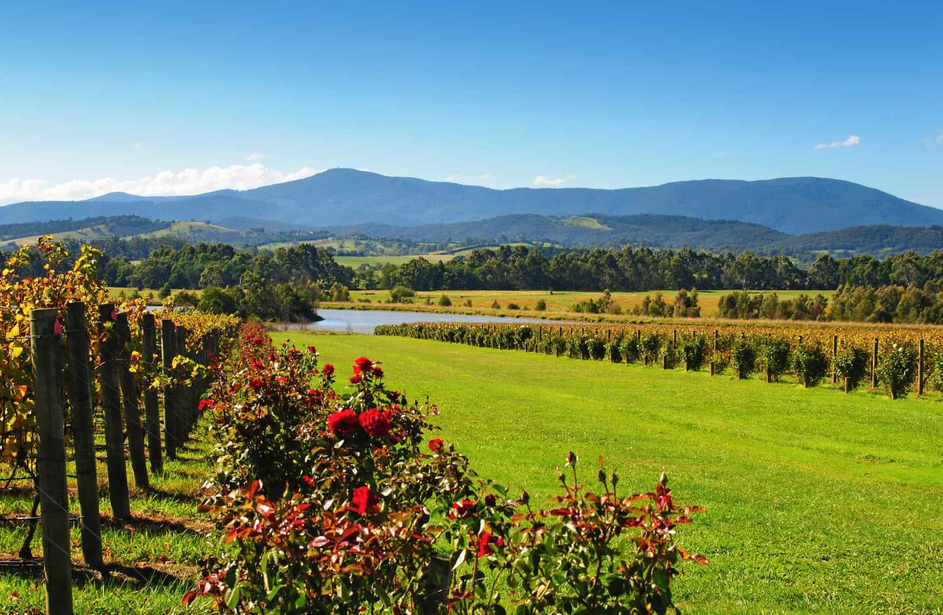 Australske vinrejser og eventyr