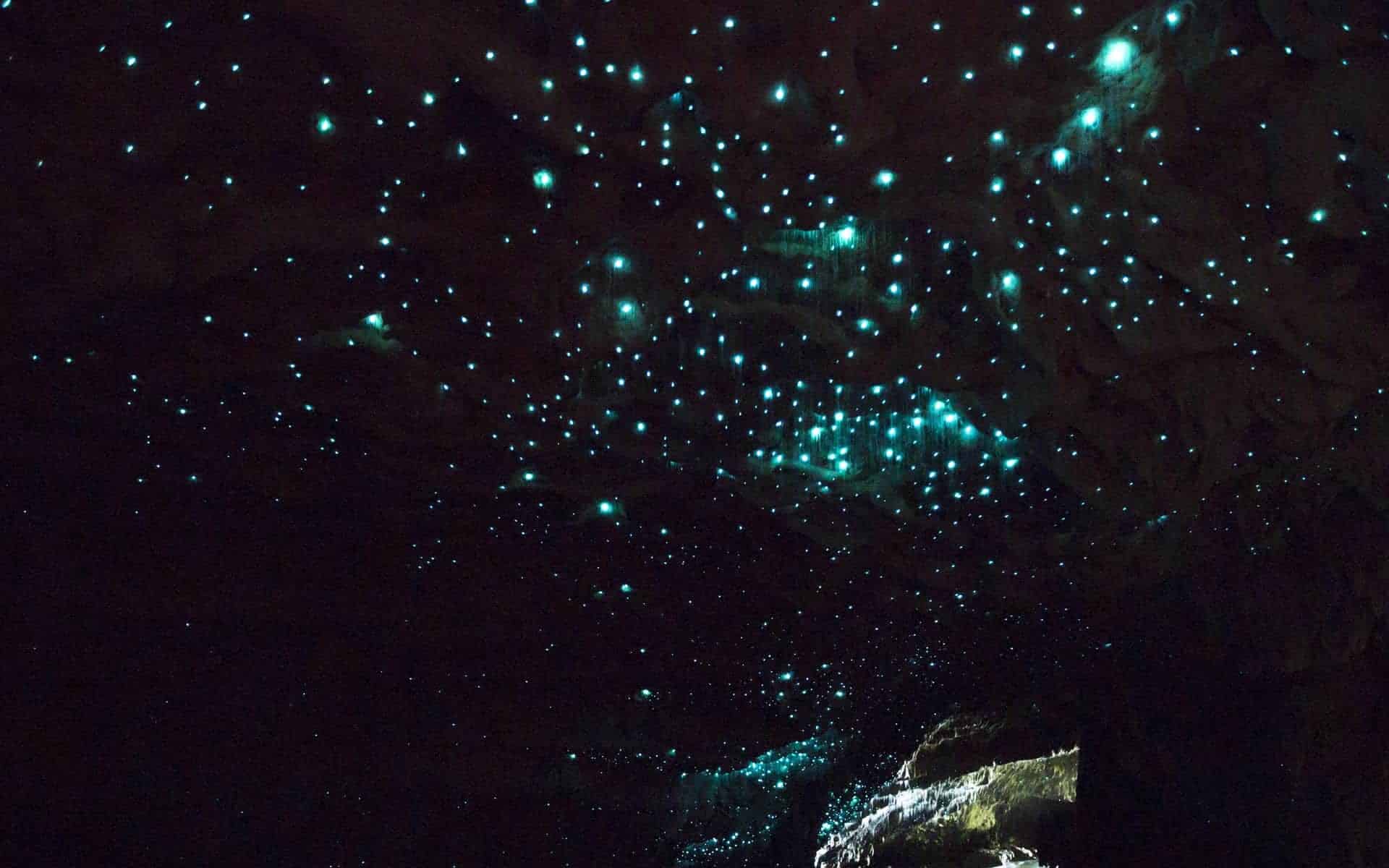 Waitomo Glow worms Caves, Dyb grotte i New Zealand