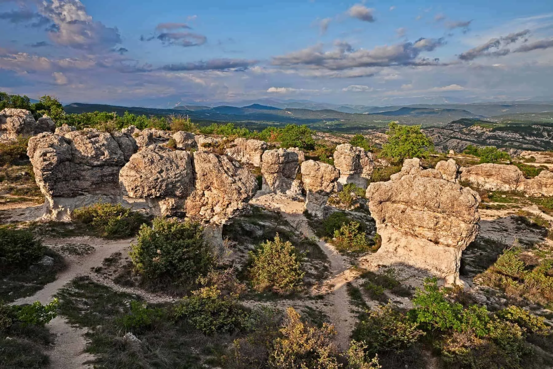 Oplev Provence og det charmerende bagland: Markedsdag i Forcalquier
