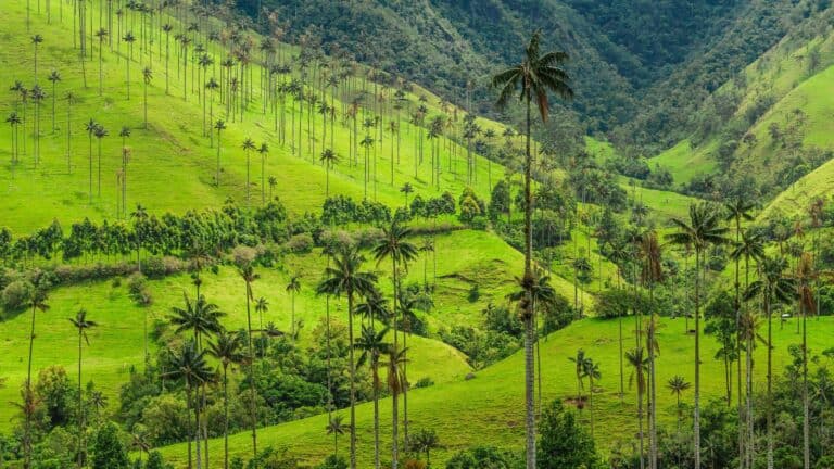 Colombia