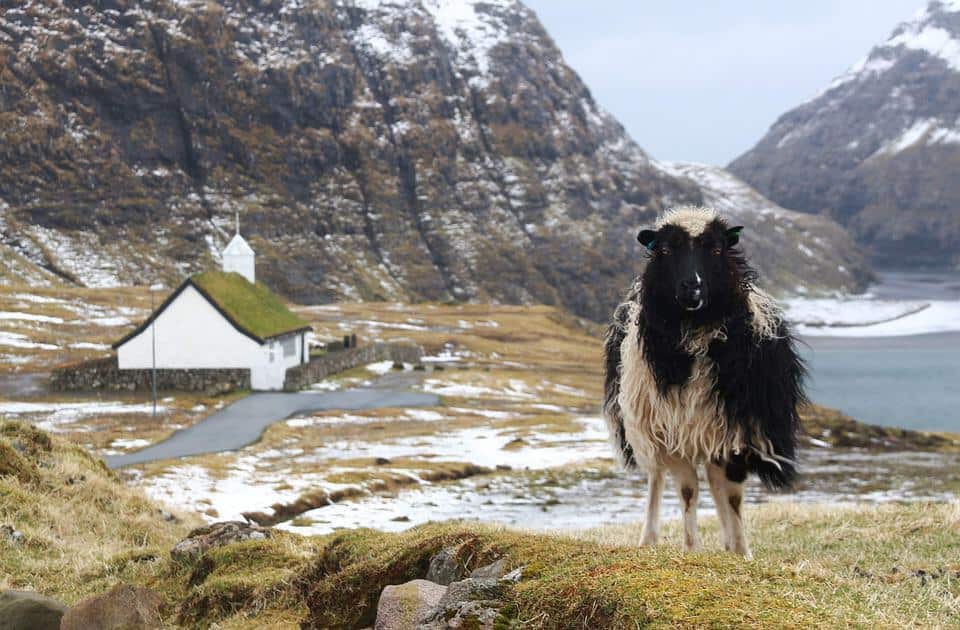 Faroe Islands