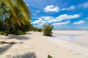 En tropisk strand i Kiribati med hvidt sand, klar blå himmel og et roligt hav. Palmer og frodigt grønt ligger langs venstre side, mens små buske ligger spredt langs kysten. Skyformationer tilføjer dybde til den lyse, solrige dag.