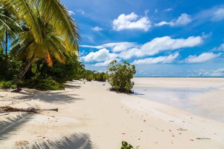 En tropisk strand i Kiribati med hvidt sand, klar blå himmel og et roligt hav. Palmer og frodigt grønt ligger langs venstre side, mens små buske ligger spredt langs kysten. Skyformationer tilføjer dybde til den lyse, solrige dag.