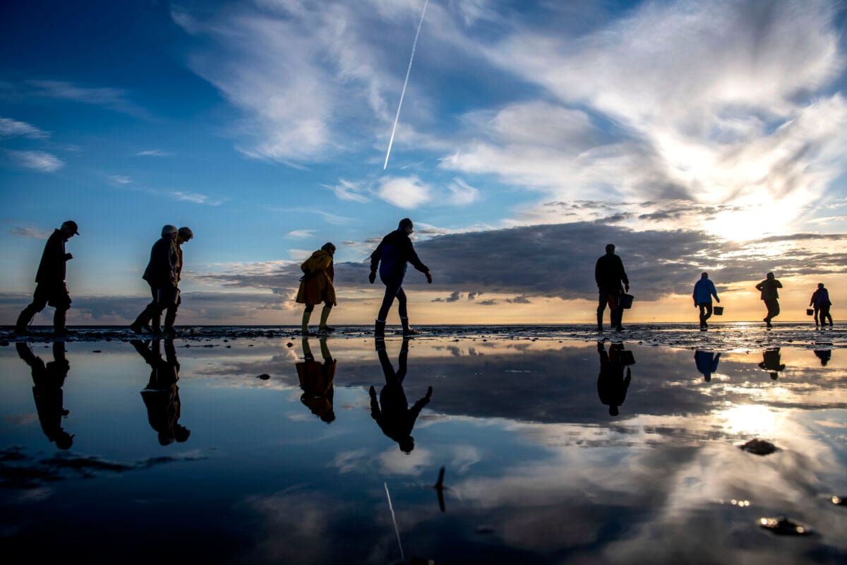 Nationalpark Vadehavet. Danmarks 5 nationalparker. Ulrik Pedersen, foto.