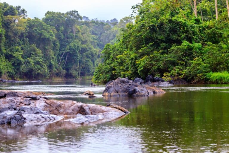 Surinam