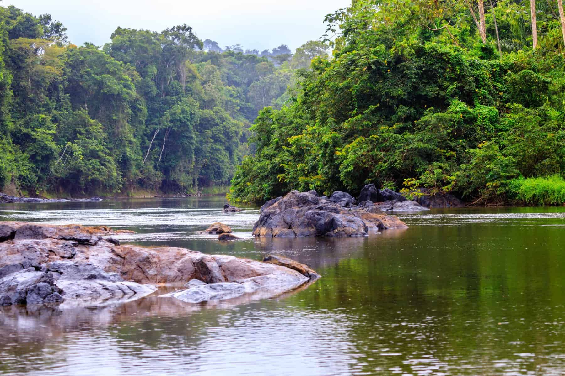 Rejseinteresser 256 Surinam