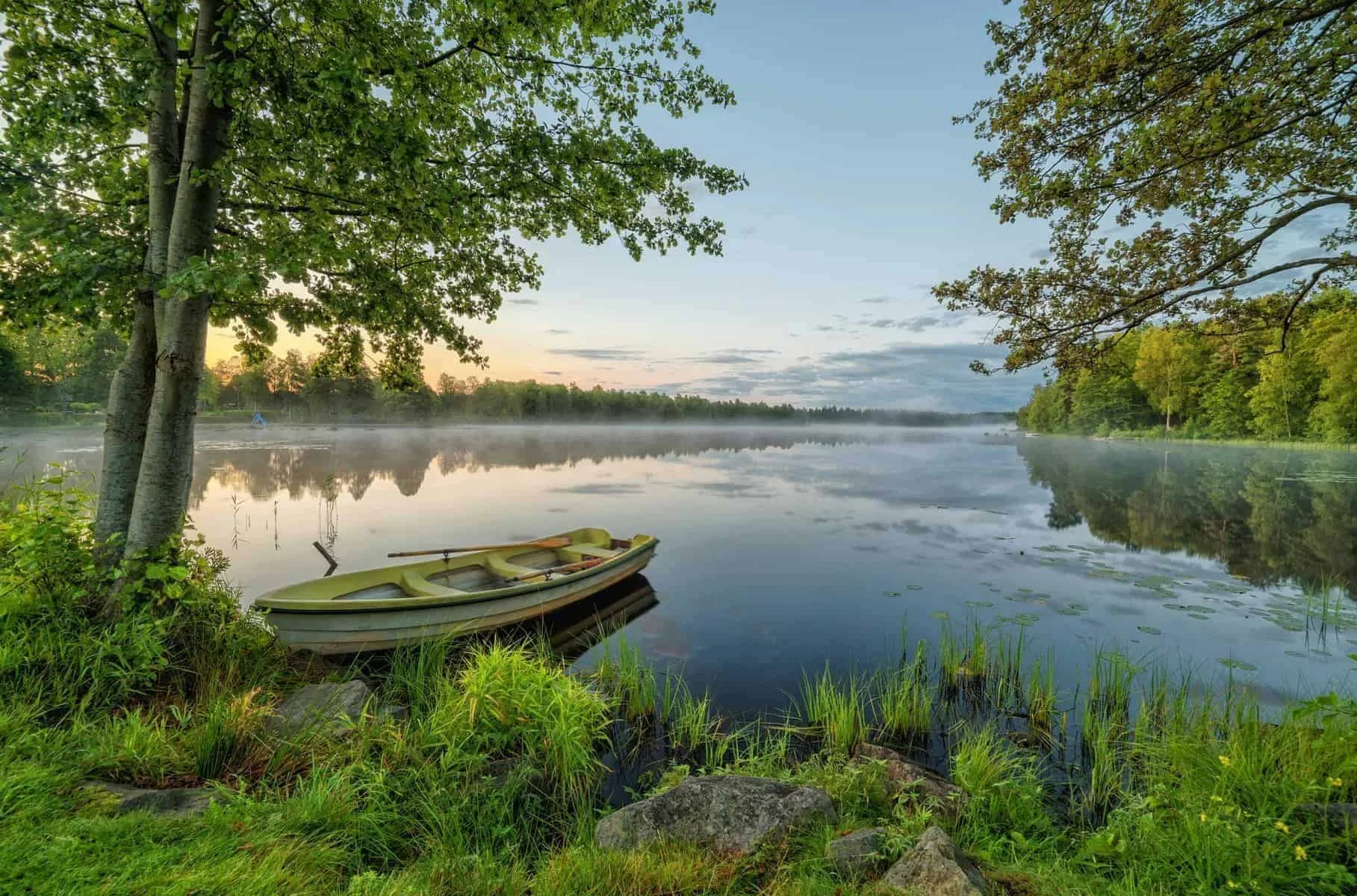 Sverige morgen-dis sø og landskab, eventyrrejser i Sverige