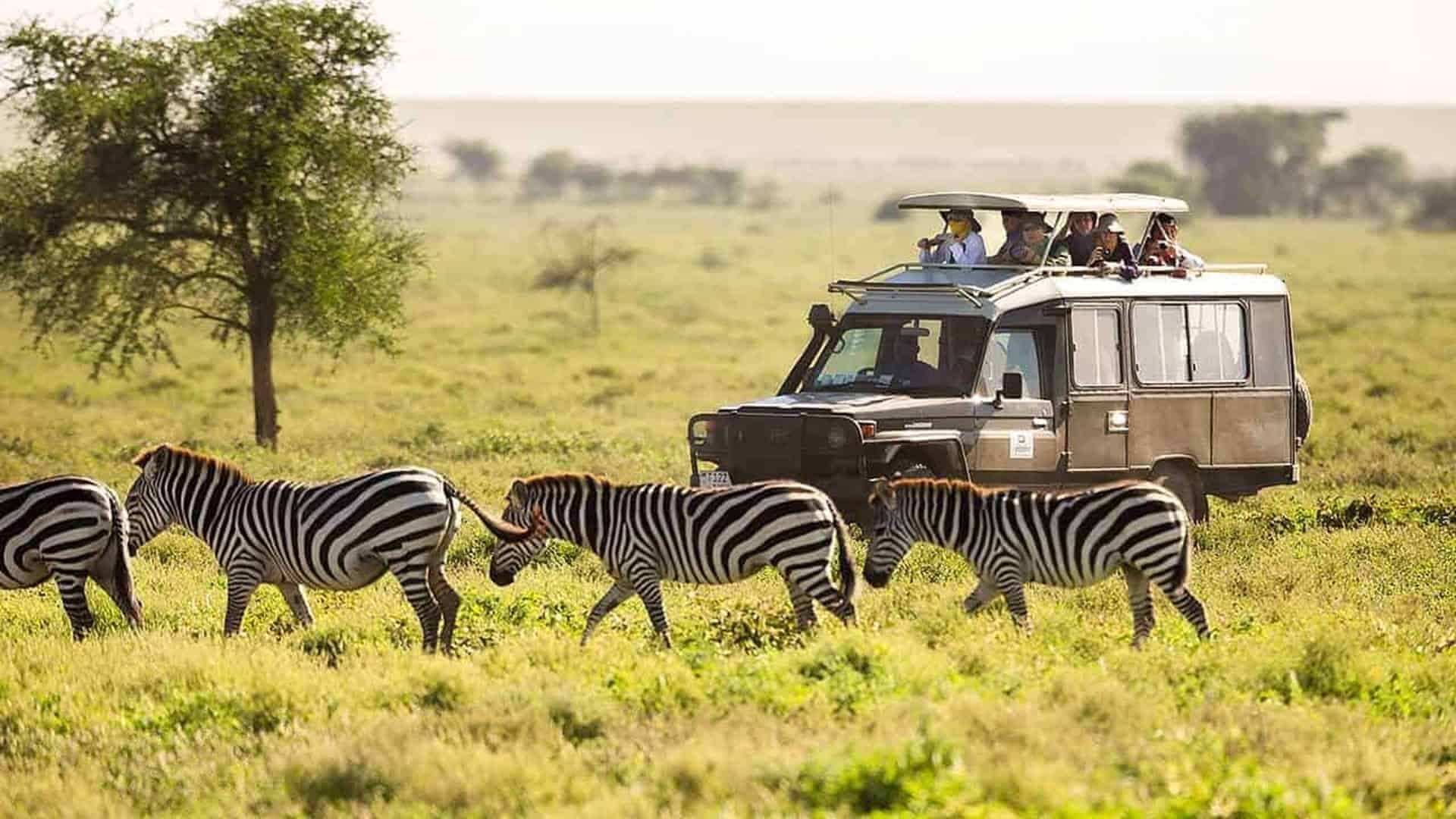 Rejseinteresser 265 Tanzania