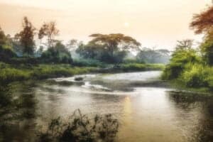 Uganda