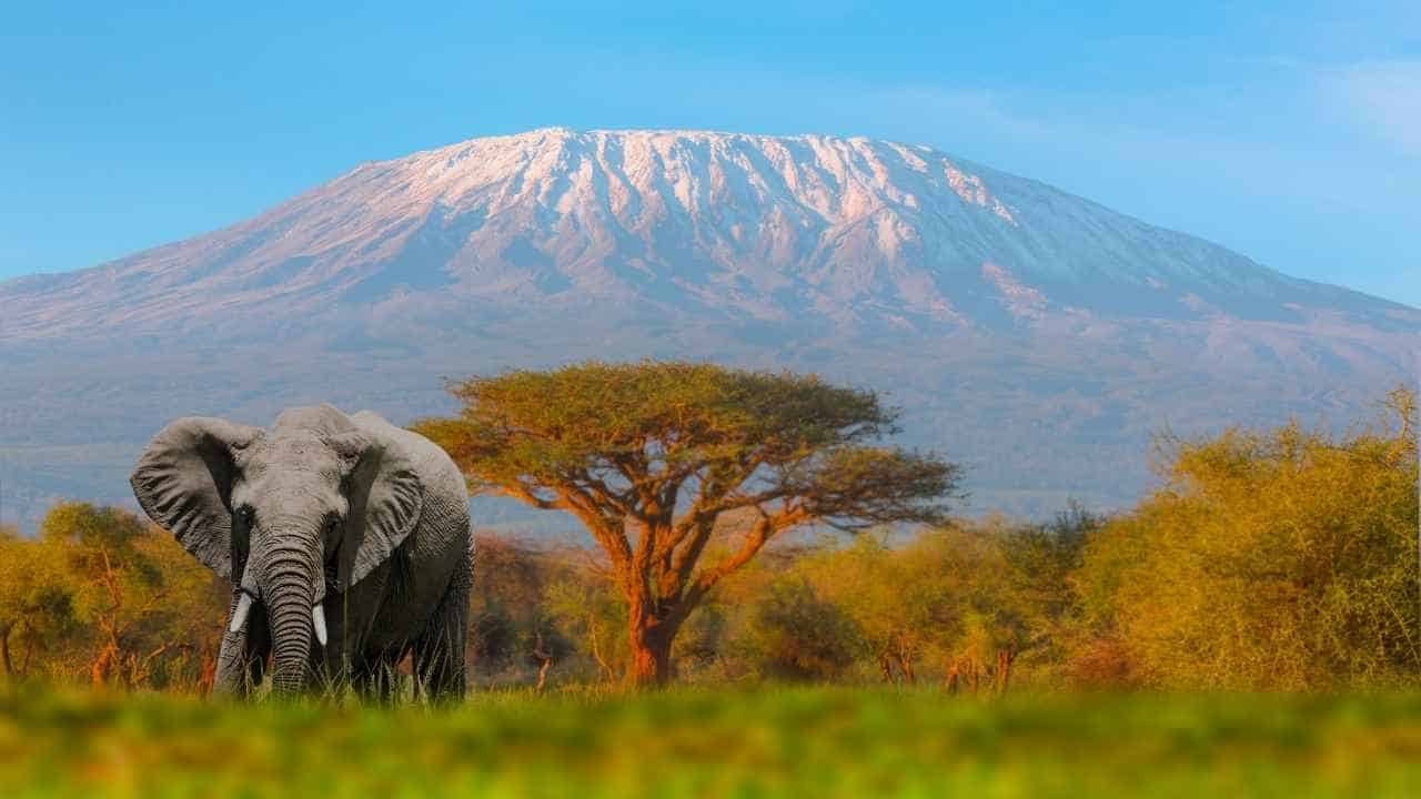 15 vulkaner fra hele verden 8 Kilimanjaro