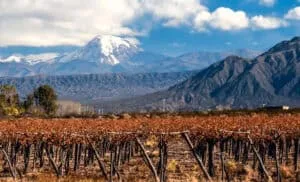 Vulkaner fra hele verden, og rejser fra hele verden, Volcano-Aconcagua-and-Vineyard.
