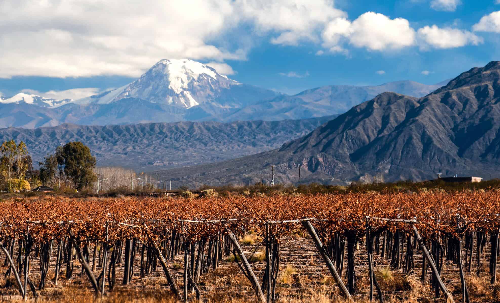 Volcano-Aconcagua-and-Vineyard.