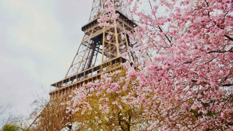 Forår i Paris 3 Forår i Paris