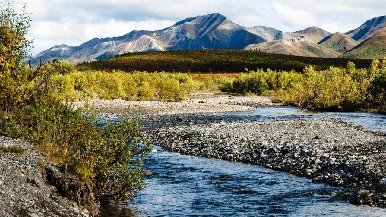 Denali