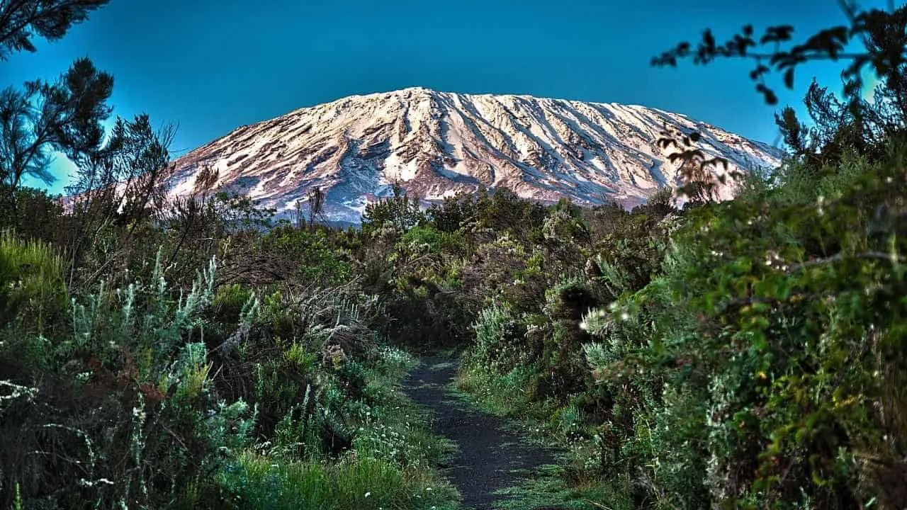 Kilimanjaro