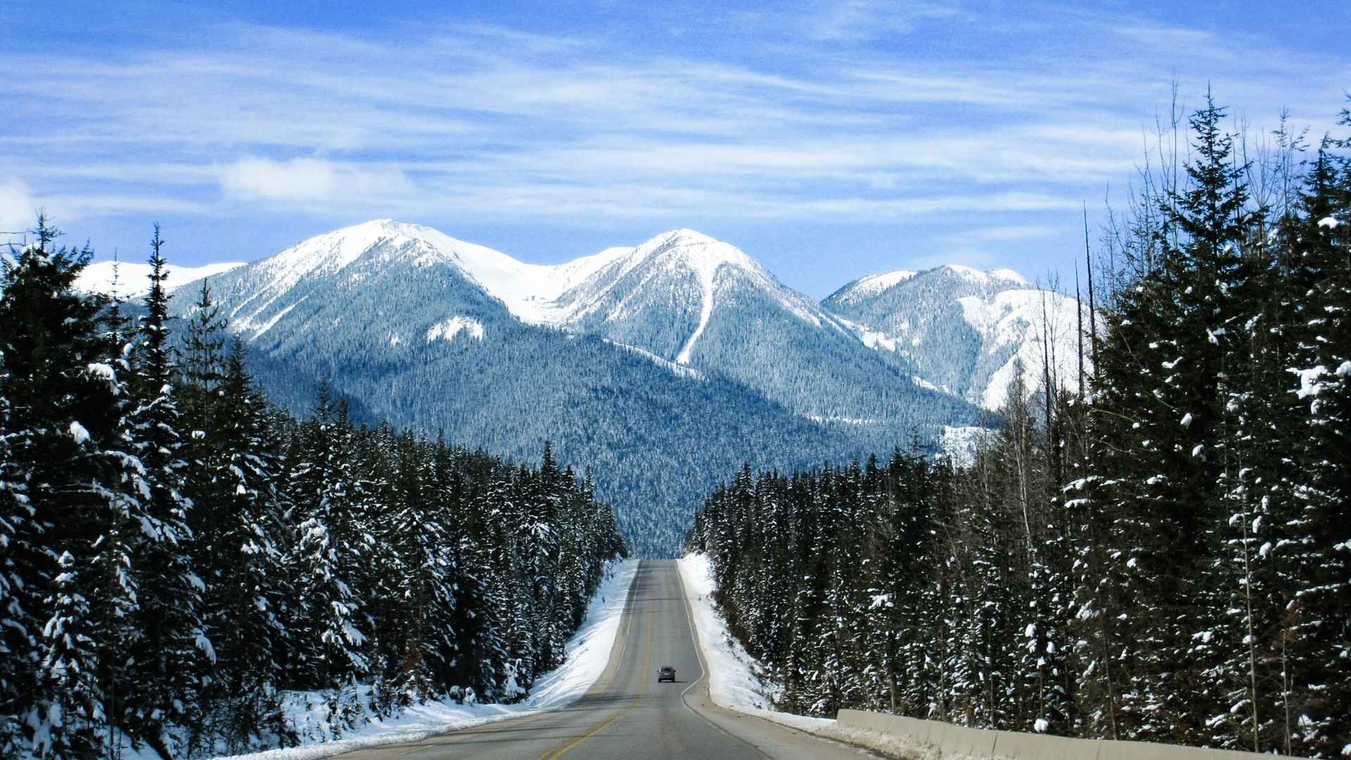 Udsigten langs Trans-Canada Highway i Alberta, Canada