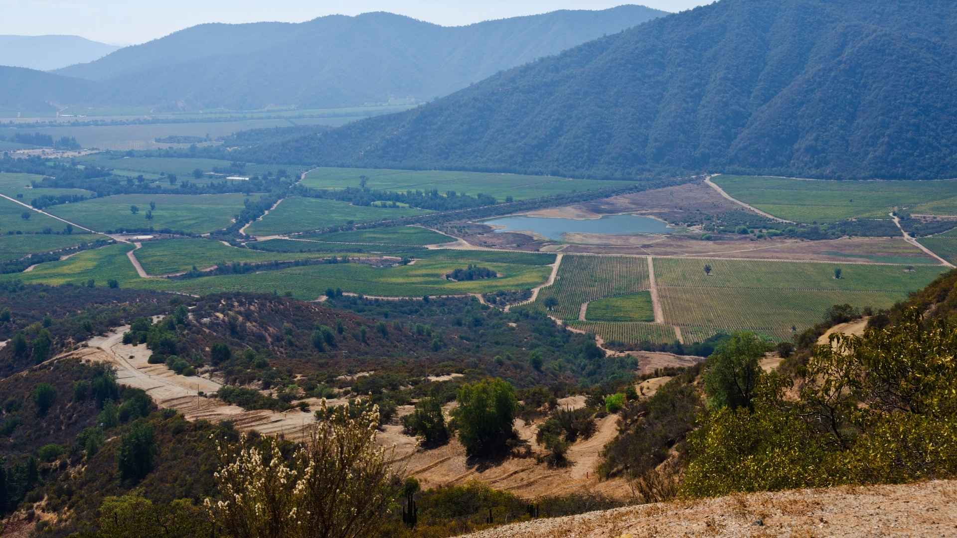 Casablanca Valley